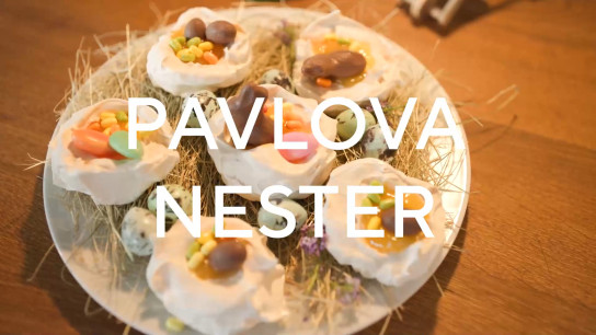 Pavlova Nester - Claudia kriegts gebacken