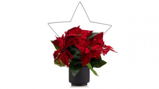 LUMIDA Flora künstl. Poinsettia Weihnachtsstern inkl. Metall-Deko 5h-Timerfunktion