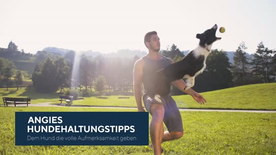 Dem Hund die volle Aufmerksamkeit geben